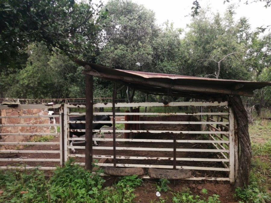 Commercial Property for Sale in Swartruggens North West
